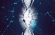 Cztery zasady azotowe DNA? Niektóre wirusy wykształciły piątą