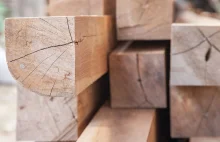 Branża drzewna: konieczny zakaz eksportu drewna, inaczej wiele firm upadnie