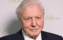 David Attenborough: zmierzamy do katastrofy!