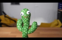 Kaktus koksu 5 gram - recenzja produktu, historia mema