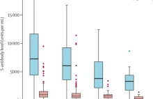 Zaobserwowano spadek poziomu przeciwciał u osób zaszczepionych na Covid-19