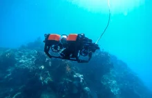 Zostań pilotem ROVa na Wielkiej Rafie Koralowej