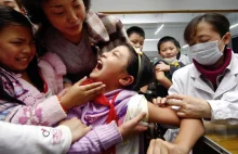 Rekonstrukcja masowej histerii z 2009: pandemia świńskiej grypy