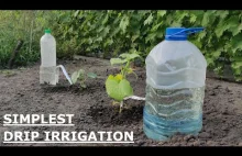 The EASIEST DRIP IRRIGATION DIY in a FEW MINUTES
