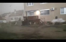 Pies kontra Tornado
