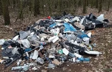 Ponad 8 tysięcy złotych kary za wywiezienie śmieci do lasu.