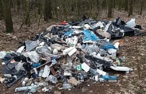 Ponad 8 tysięcy złotych kary za wywiezienie śmieci do lasu.