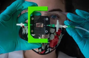 Imitacja trzustki z drukarki 3D? „Żywy implant” pomoże chorym na cukrzycę typu 1