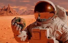NASA wyprodukowała tlen na Marsie po raz pierwszy w historii