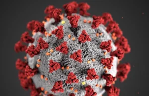 Raport USA: koronawirus wydostał się z laboratorium w Chinach