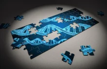 Rozszyfrować "niepotrzebną złożoność" - przełom w dekodowaniu DNA