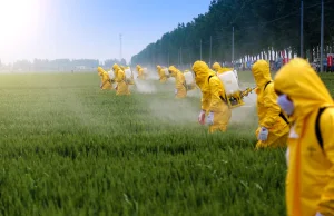 Pestycydy groźniejsze, niż sądzono.