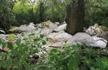 Przedsiębiorca wyrzucił w lesie 50 worków odpadów!