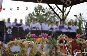 Gospodynie Wiejskie zapraszają na festyn. Na imprezie będą preparaty J&J Pfizer