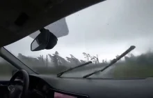 Drzewa padają przed samochodem