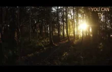 Nature and Bird Singing-Gesang der Natur und der Vögel-Natura i Śpiew Ptaków