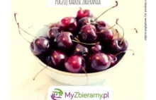 myzbieramy.pl - samozbiory owoców, warzyw od rolnika w dobrej cenie