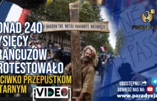 Ponad 240 Tysięcy Francuzów Protestowało Przeciwko Przepustkom Sanitarnym...