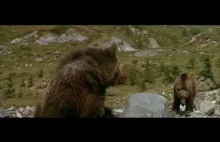 L'Ours (1988) - scena z pumą