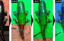 Powstał robot-kameleon, który potrafi dopasować kolory do otoczenia