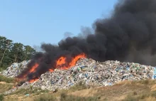 Pożar składowiska odpadów koło Sulęcina. W akcji blisko 30 zastępów gaśniczych