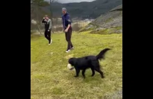 Pies Peaty uwielbia grać w piłkę
