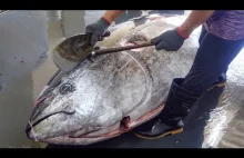 Tajwan. Rozbiór 250 kilogramowego tuńczyka błękitnopłetwego
