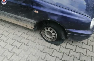 Zamość. Pijany kierowca rozbił auto i uciekał boso z pitbullem pod pachą