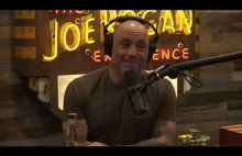 Joe Rogan - Paszporty Szczepionkowe (Napisy PL)