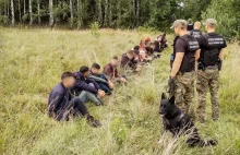 Prawie 2 tys. nielegalnych migrantów na polsko-białoruskiej granicy