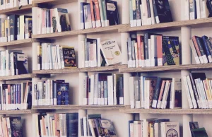 Polacy kupują książki na potęgę. Wydatki w księgarniach wzrosły o 30%