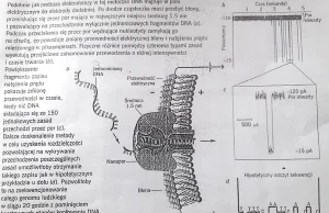 Ile trwa wdrożenie przełomowej technologii?