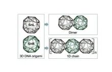 Chiralne nanoklatki z DNA