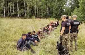 Hołownia chce przygotowywać infrastrukturę na przyjmowanie imigrantów.