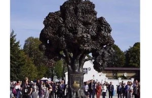 Pomnik drzewa w Wieleniu. Internauci oburzeni, miasto się broni