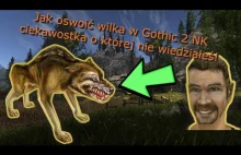 Jak oswoić wilka w Gothic 2 NK