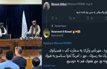 Twitter z memem żaby "pepe" wynegocjował od Talibów bezpieczeństwo dyplomatów