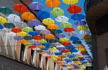 Pszczyna. Radny z PiS walczy z kolorowymi parasolkami. "To przykrywka"