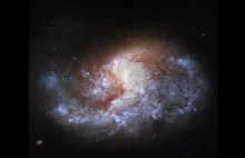 Tak wygląda NGC 1385, galaktyka spiralna oddalona o 68 milionów lat świetlnych