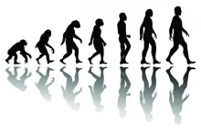 Teoria ewolucji jest obecnie akceptowana przez większość amerykanów