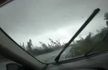 W ciągu kilku sekund huragan niszczy las w Obwodzie połockim.