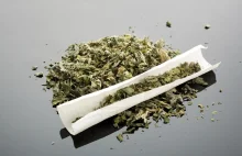 Limit 6 gram marihuany w Niemczech? Propozycja CSU dla wszystkich landów