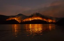 Winiarze z Prowansji oceniają skutki zniszczeń po ogromnych pożarach