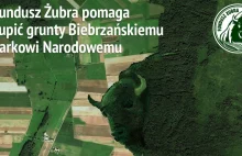 Producent Żubra pomaga kupić i oddaje działki parkowi narodowemu nad Biebrzą
