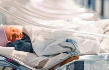 Cztery noworodki umarły w Australii przez ograniczenia COVID dotyczące podróży