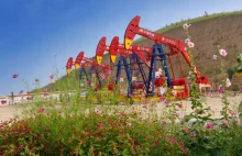 Chińczycy odkryli duże złoże ropy łupkowej
