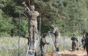 Żołnierze rozpoczęli budowę płotu na granicy polsko-białoruskiej (zdjęcia)