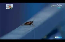Kamerzysta na Olimpiadzie zamiast kobiet grających w hokeja nagrywa karalucha