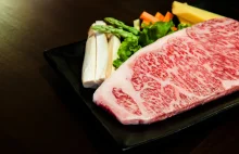 Przełom w produkcji mięsa. Wołowina Wagyu z drukarki 3D