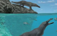Egipt: Odkryto szkielet czworonożnego wieloryba